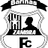 teamLogo